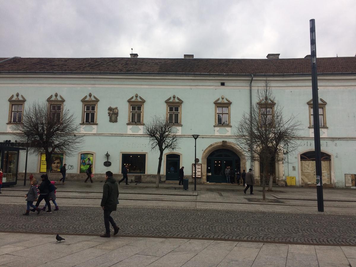 Hostel Casa Roz Cluj-Napoca Exterior foto